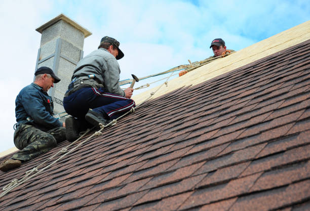 Quick and Trustworthy Emergency Roof Repair Services in Edgewater, FL